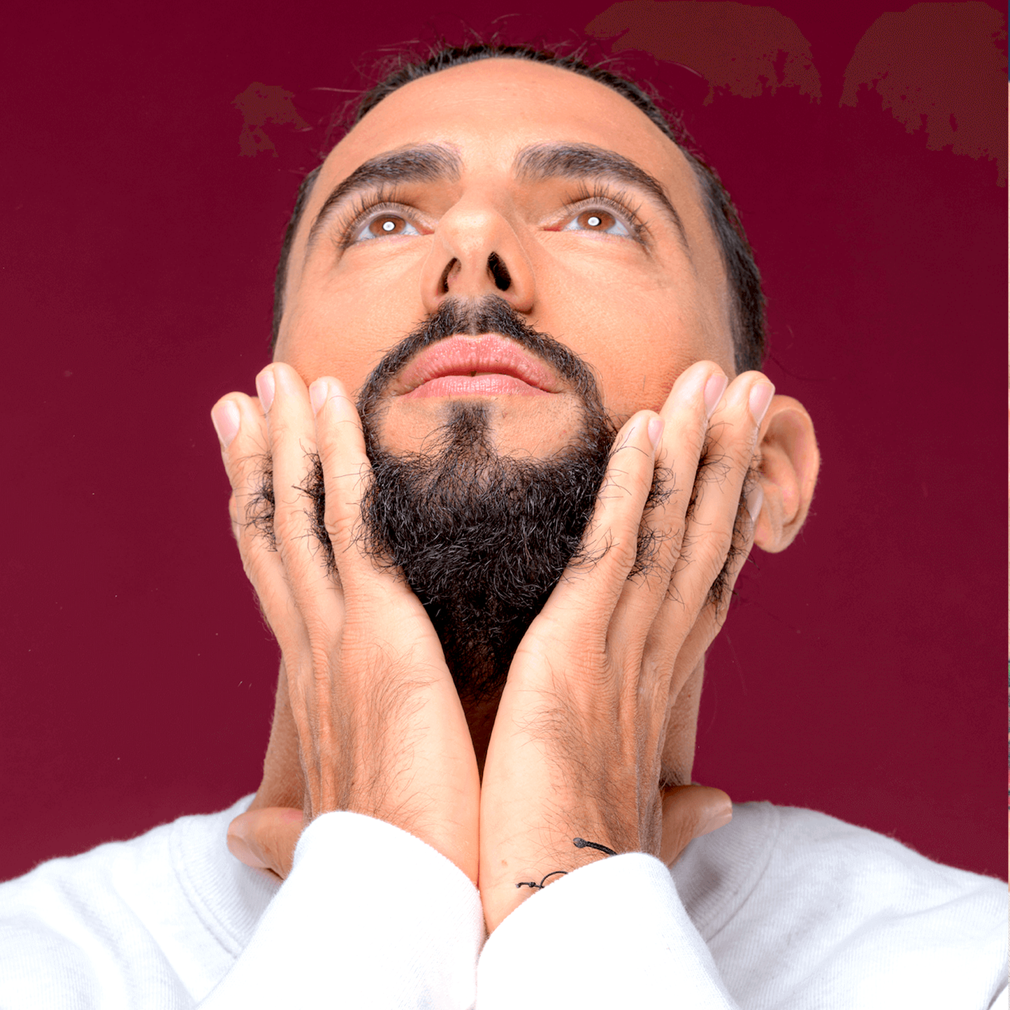 Huile à barbe BIO 50ml - Frais X Boisé