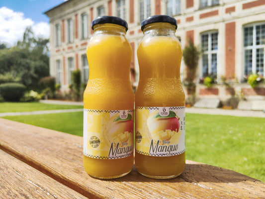 Jus Artisanal de Mangue 33cl